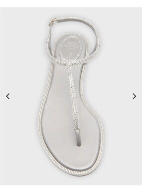 Rene Caovilla

Crystal-Embellished T-Strap Sandals